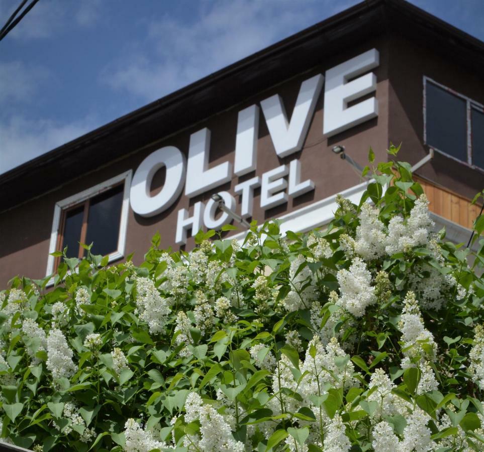 Olive Hotel Bishkek Exteriör bild